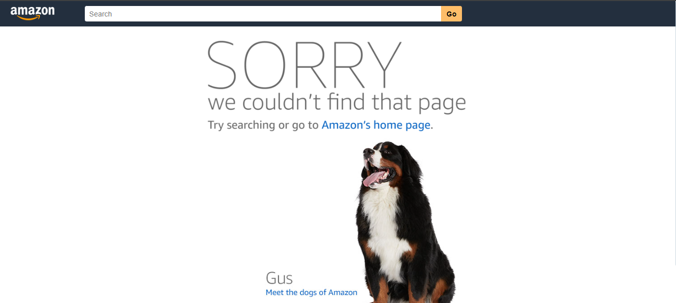 Amazon as best 404 not found pages